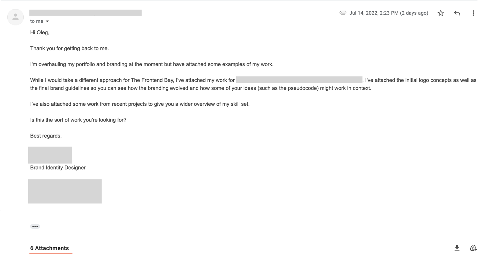 A polite and professional email showing care for my project as well as giving me enough food for thought with the 6 attachments